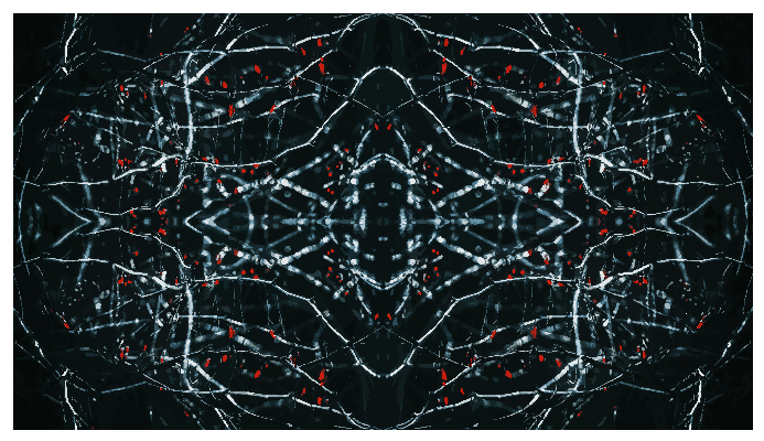 Card image cap